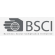 BSCI認證驗廠